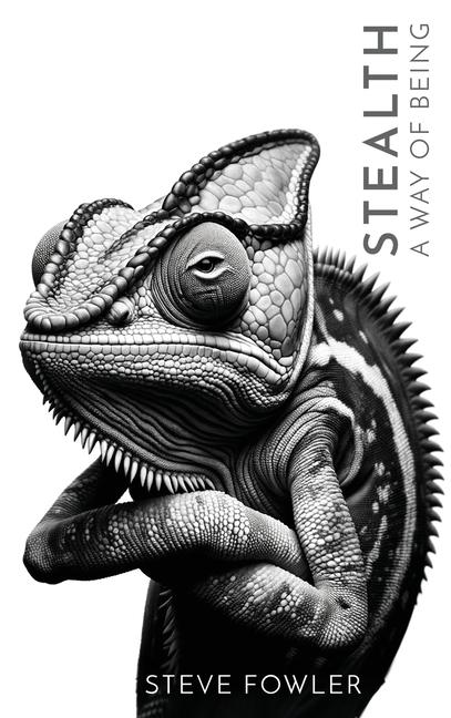 Boek Stealth Steve Fowler