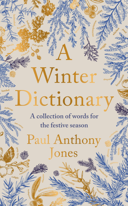 Knjiga Winter Dictionary Paul Anthony Jones