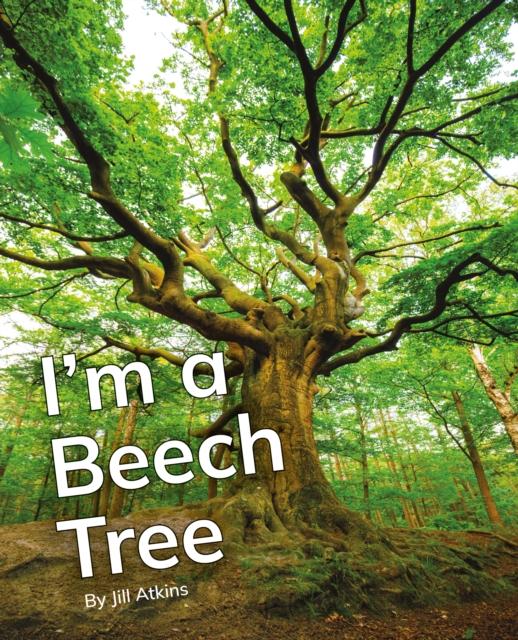 Knjiga I'm a Beech Tree 