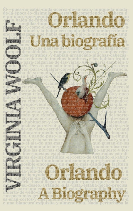 Knjiga Orlando Virginia Woolf
