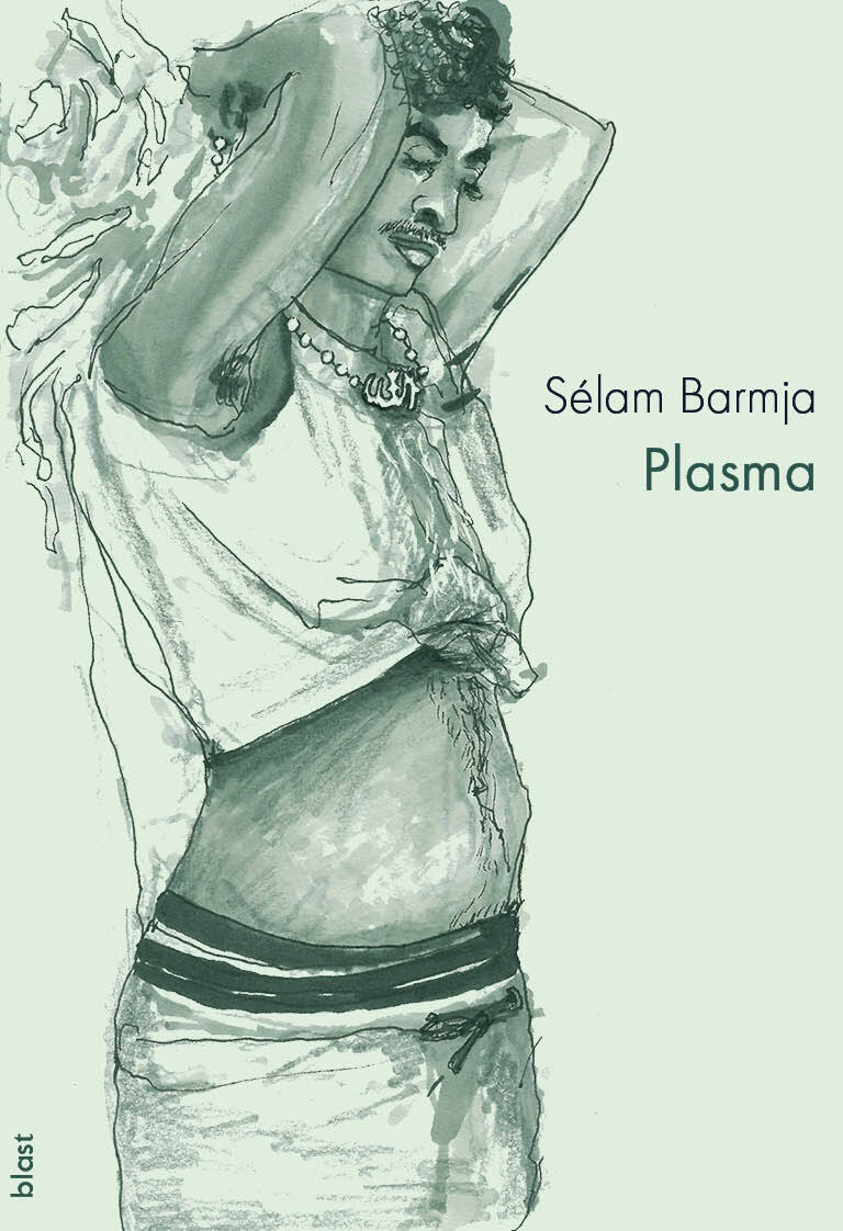 Boek Plasma Barmja