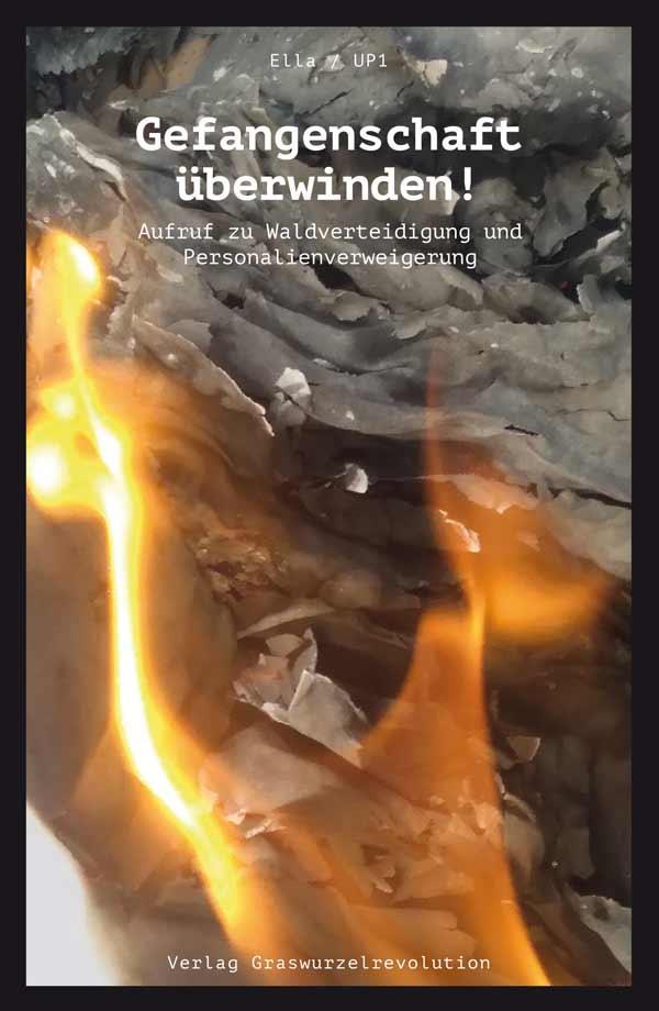 Knjiga Gefangenschaft u?berwinden! 