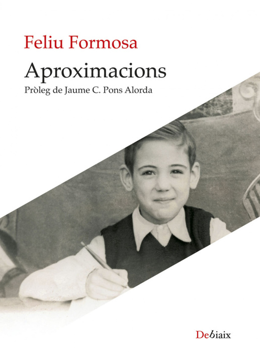 Könyv APROXIMACIONS FELIU FORMOSA