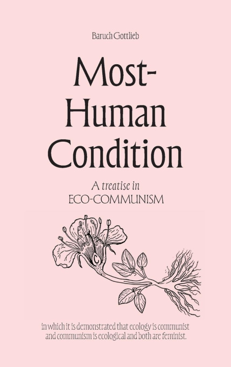 Kniha Most-Human Condition Baruch Gottlieb