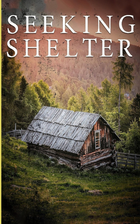 Knjiga Seeking Shelter Clay Wise