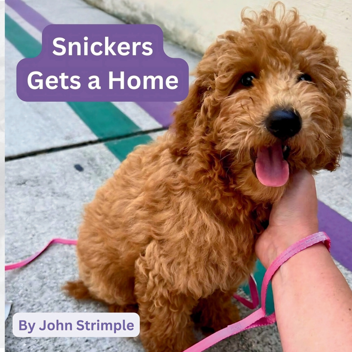 Boek Snickers Gets a Home John Strimple