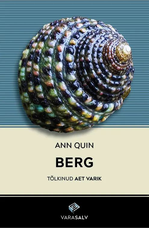 Buch Berg Ann Quin