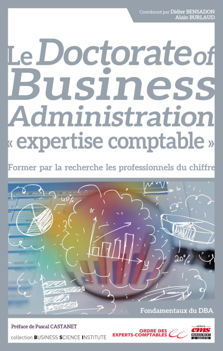 Buch DBA Expertise-Comptable Burlaud
