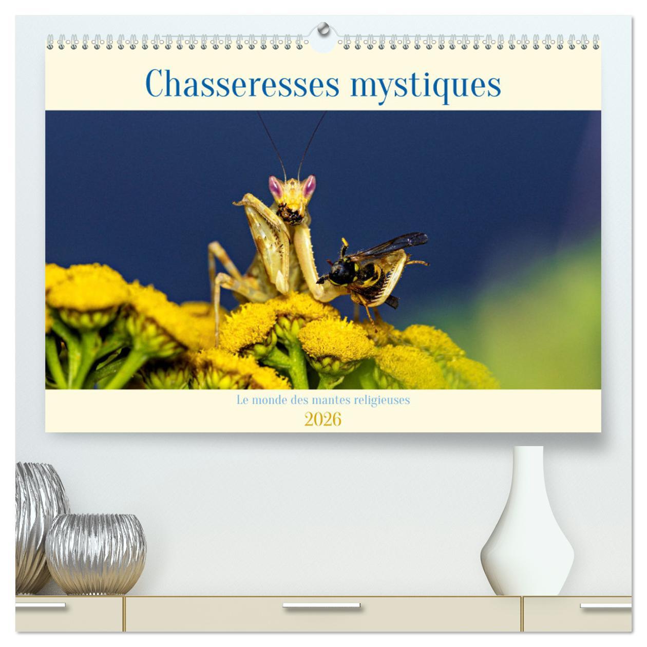 Koledar/Rokovnik CHASSERESSES MYSTIQUES CALENDRIER MURAL BRACK ROLAND
