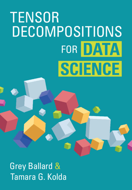 Buch Tensor Decompositions for Data Science Grey Ballard
