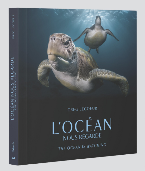 Boek L’Océan nous regarde Lecoeur