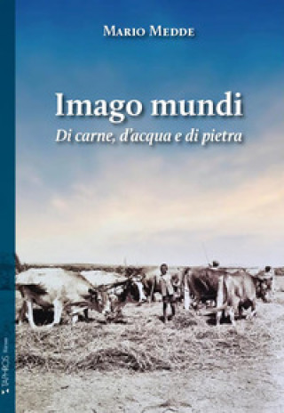 Libro Imago mundi. Di carne, d'acqua e di pietra Mario Medde
