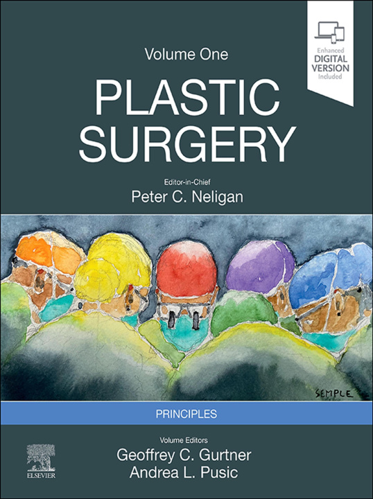 E-book Plastic Surgery E-Book Geoffrey C Gurtner