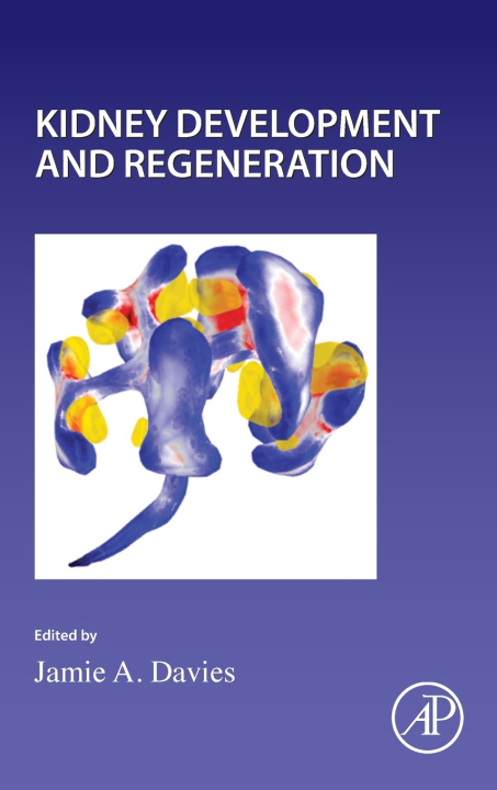 Knjiga Kidney Development and Regeneration Pau Wassarman