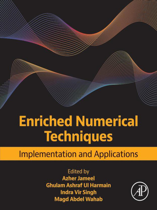 Libro electrónico Enriched Numerical Techniques Azher Jameel
