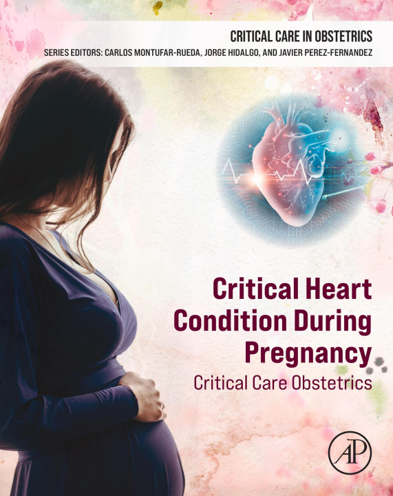 E-kniha Critical Heart Condition During Pregnancy Jorge Hidalgo