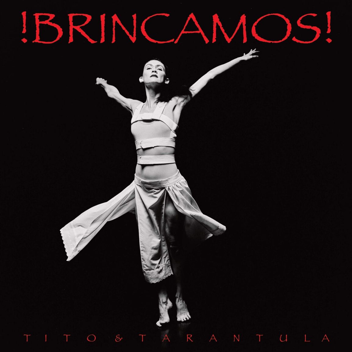 Zvok !Brincamos! Tito & Tarantula