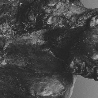Zvok II Mother