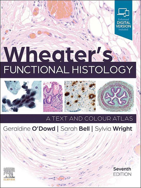 E-book Wheater's Functional Histology, E-Book Geraldine O'Dowd