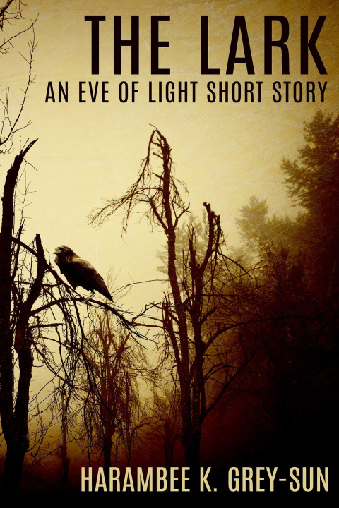 E-kniha Lark: An Eve of Light Short Story Harambee K. Grey-Sun
