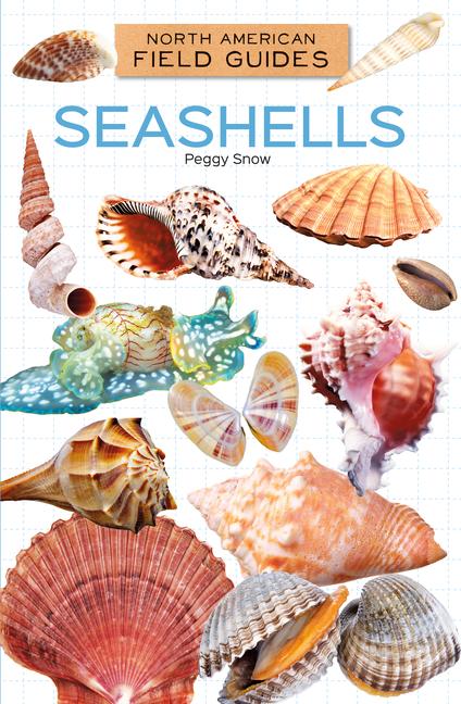 Книга Seashells 