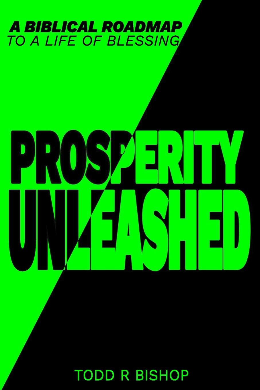 Kniha PROSPERITY UNLEASHED Madison Brown