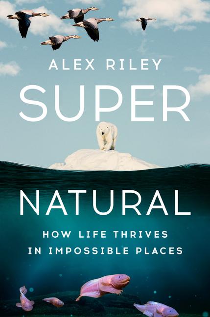Knjiga Super Natural RILEY ALEX