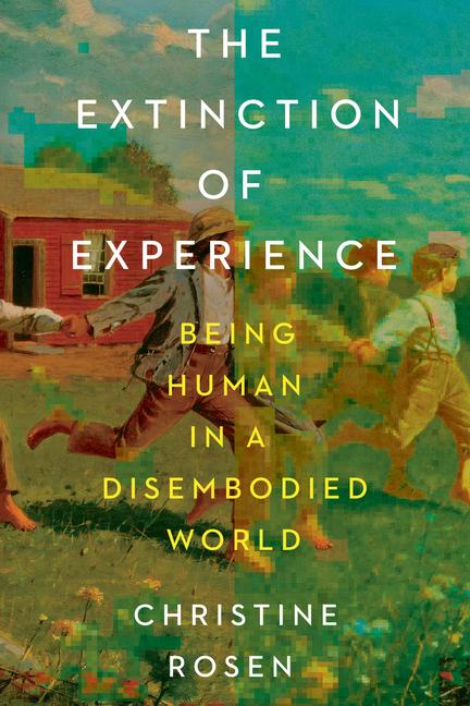 Book The Extinction of Experience ROSEN CHRISTINE