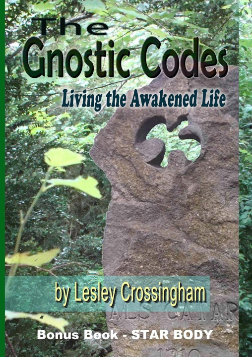 Book The Gnostic Codes Lesley Crossingham