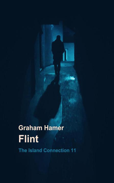 E-kniha Flint Graham Hamer
