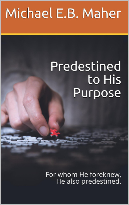 E-Book Predestined to His Purpose Michael E.B. Maher