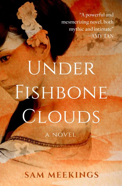 Knjiga Under Fishbone Clouds Sam Meekings