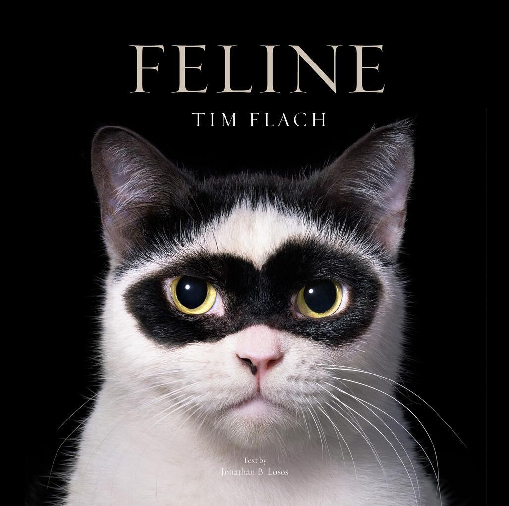 Buch Feline Jonathan Losos