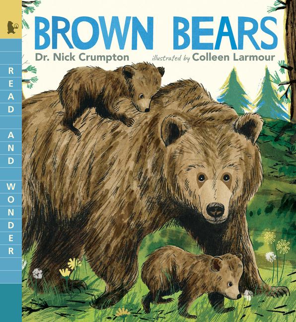 Knjiga Brown Bears Colleen Larmour