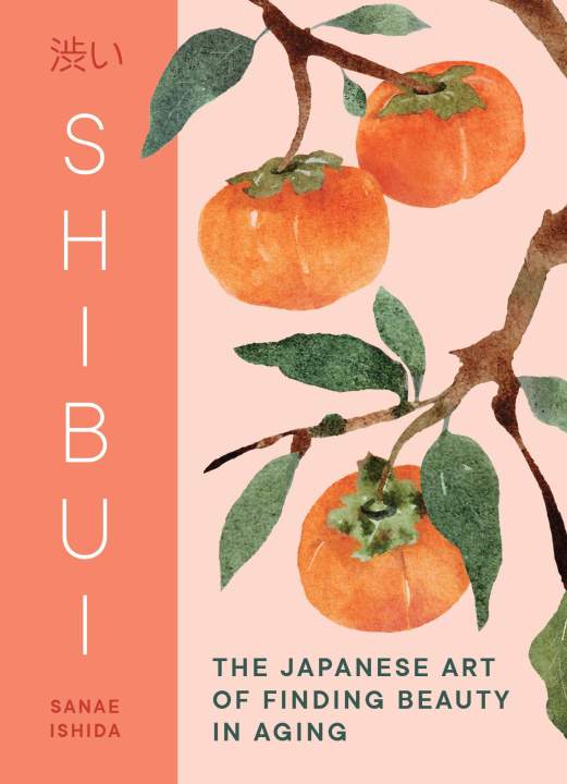 Book Shibui ISHIDA SANAE
