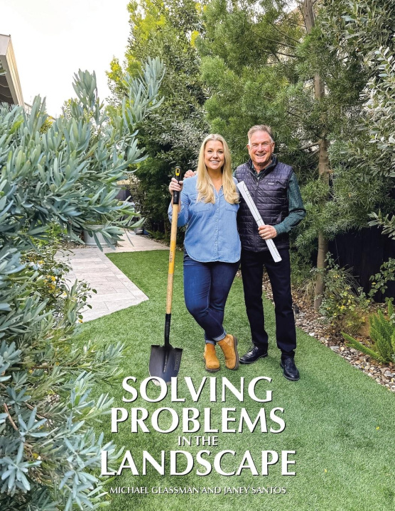Boek Solving Problems in the Landscape Janey Santos