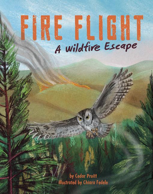 Knjiga Fire Flight Chiara Fedele