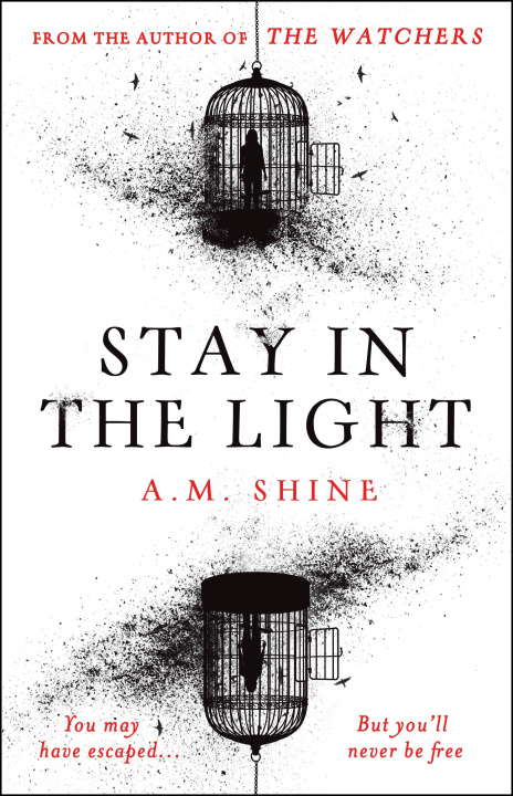 Libro elettronico Stay in the Light A.M. Shine