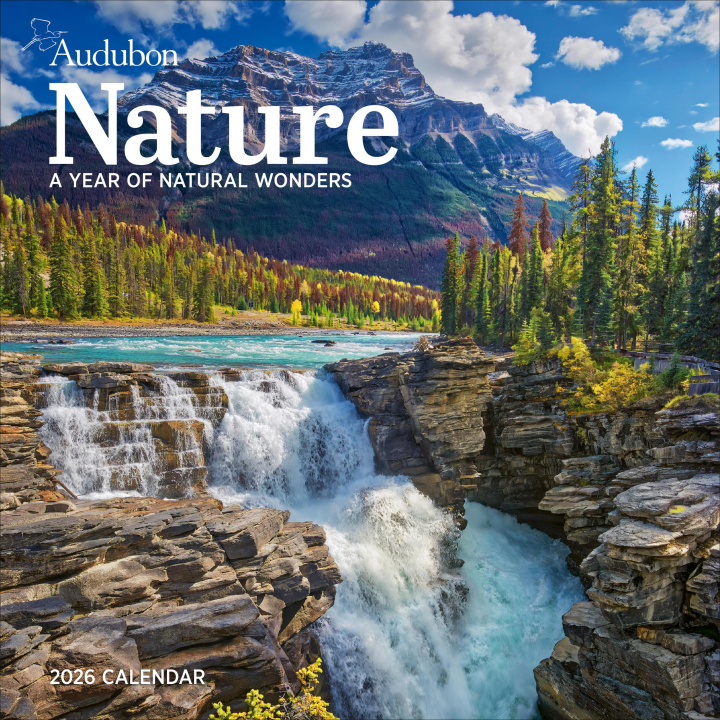Calendar/Diary CAL 26 AUDUBON NATURE WALL