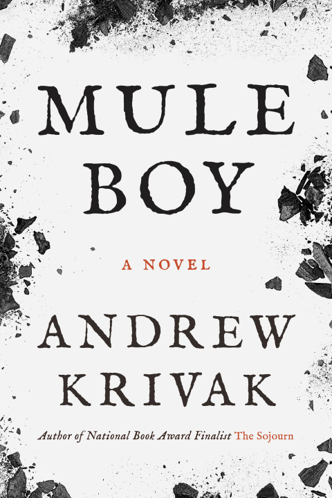 Buch Mule Boy KRIVAK ANDREW