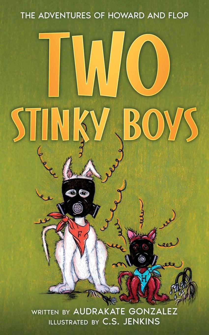Kniha Two Stinky Boys AudraKate Gonzalez