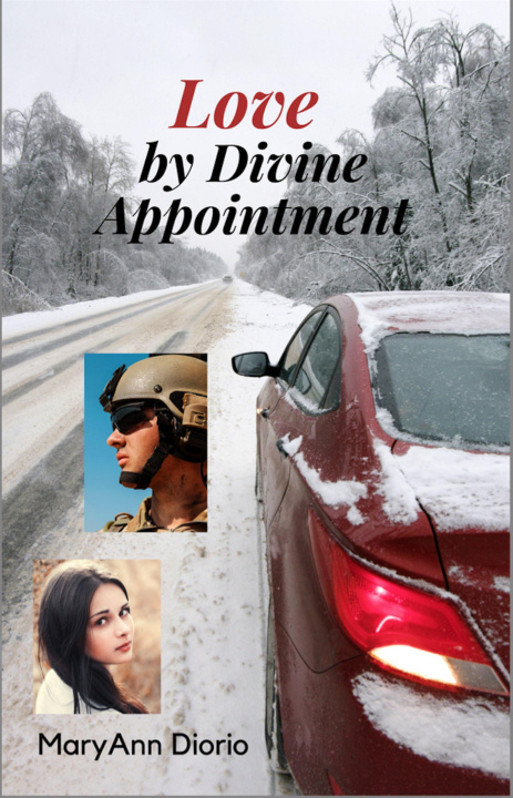 E-knjiga Love by Divine Appointment MaryAnn Diorio