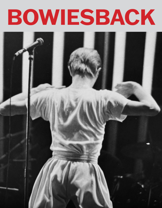 Boek Bowie's Back Ron Gott