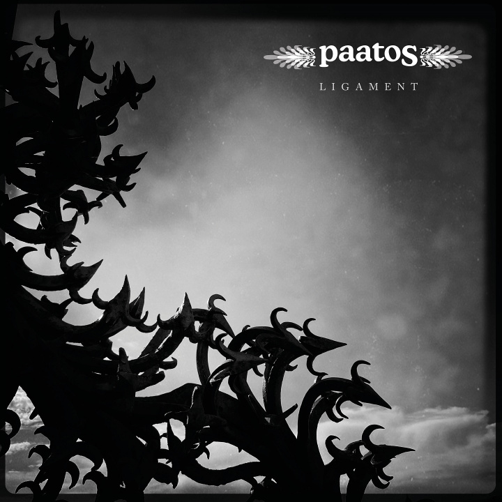 Audio LIGAMENT PAATOS