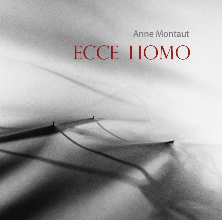 Knjiga Ecce Homo 