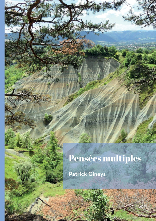 Knjiga Pensées multiples Patrick Gineys