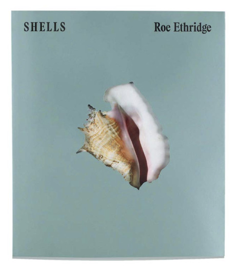 Knjiga SHELLS Roe Ethridge