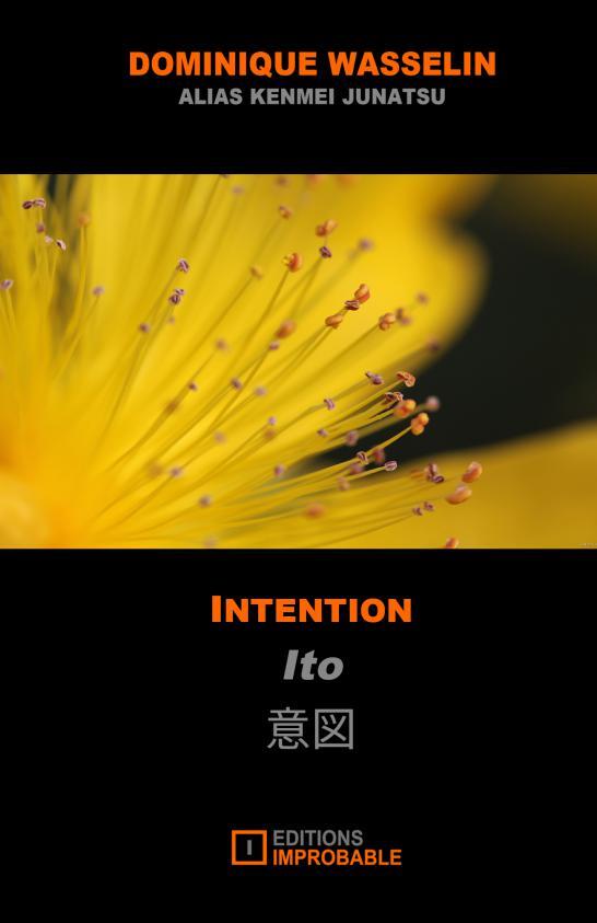 Kniha INTENTION WASSELIN