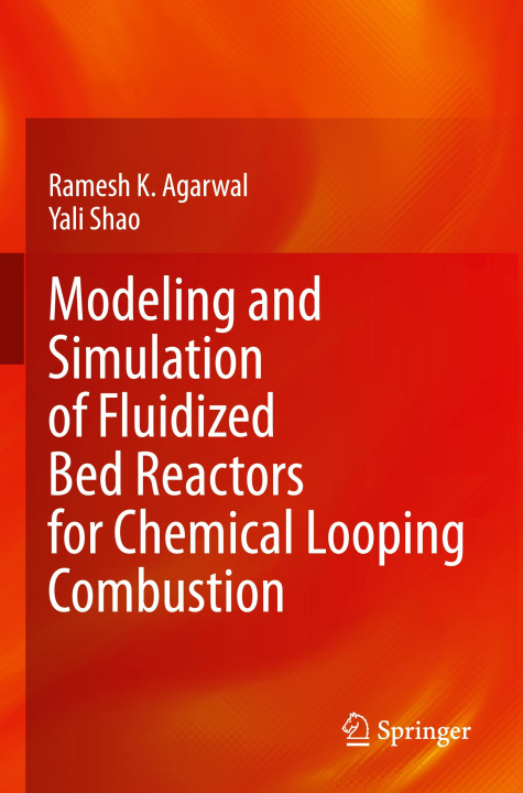 Buch Modeling and Simulation of Fluidized Bed Reactors for Chemical Looping Combustion Ramesh K. Agarwal