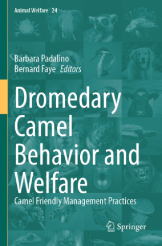Knjiga Dromedary Camel Behavior and Welfare Barbara Padalino